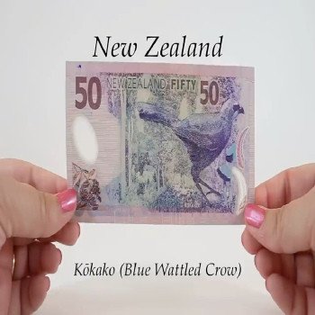 Buy Counterfeit NZD $50 Dollar Banknotes